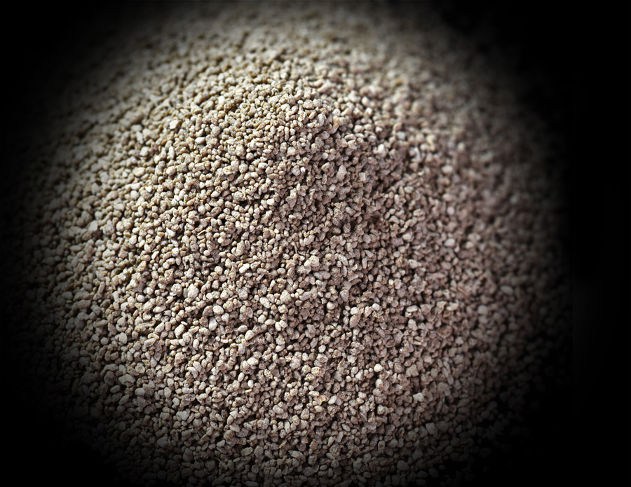 AG콢 (й½) Apple Store