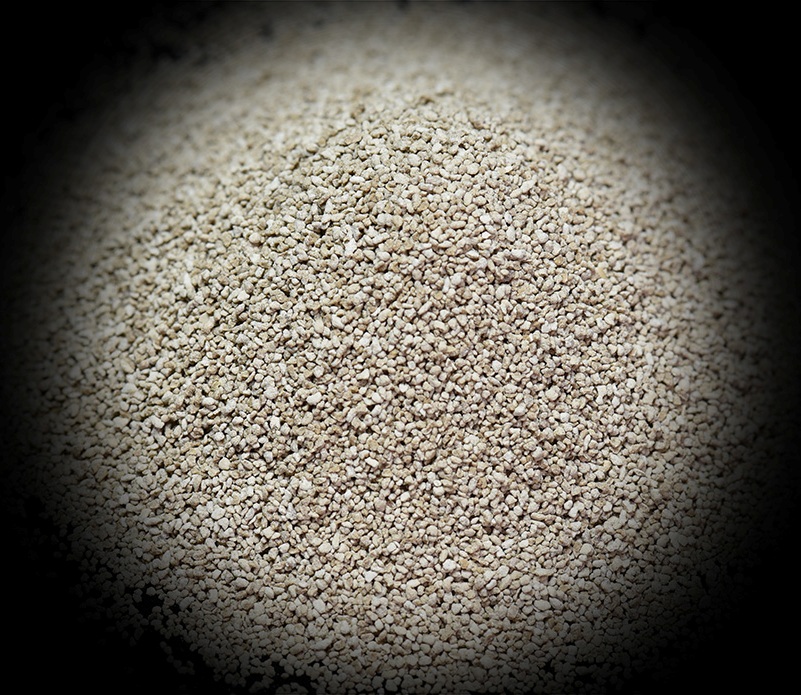 AG콢 (й½) Apple Store