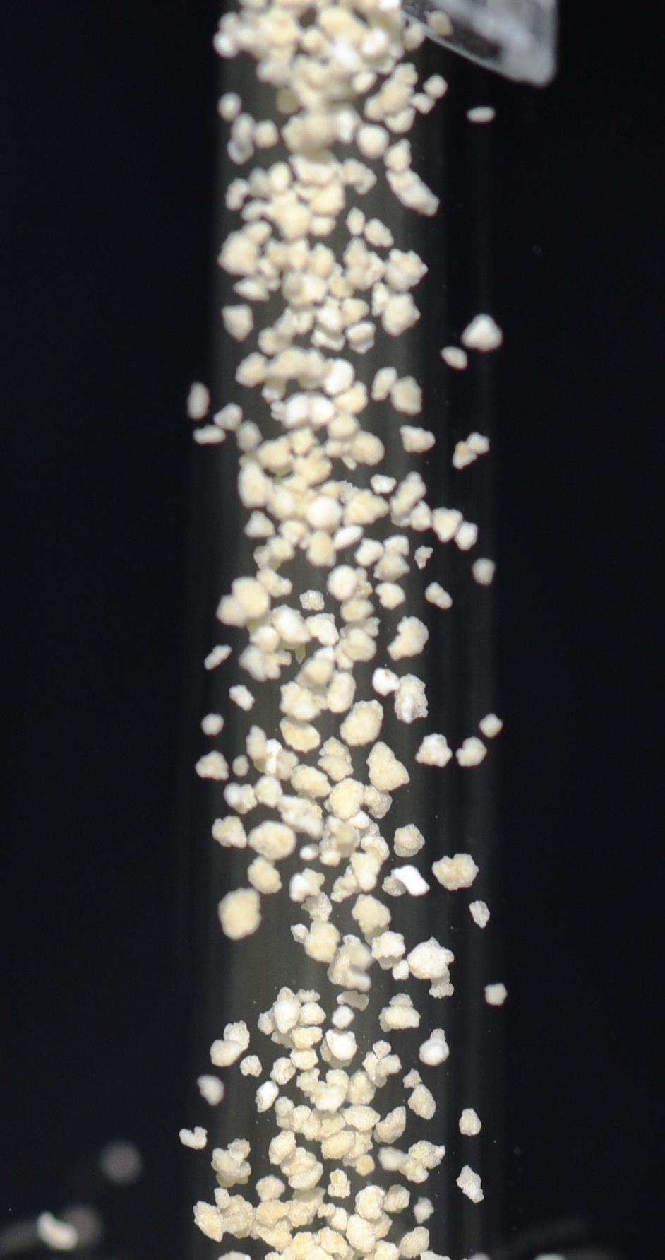 AG콢 (й½) Apple Store