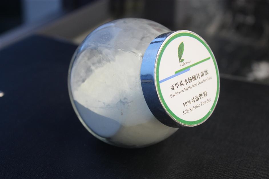 AG콢 (й½) Apple Store