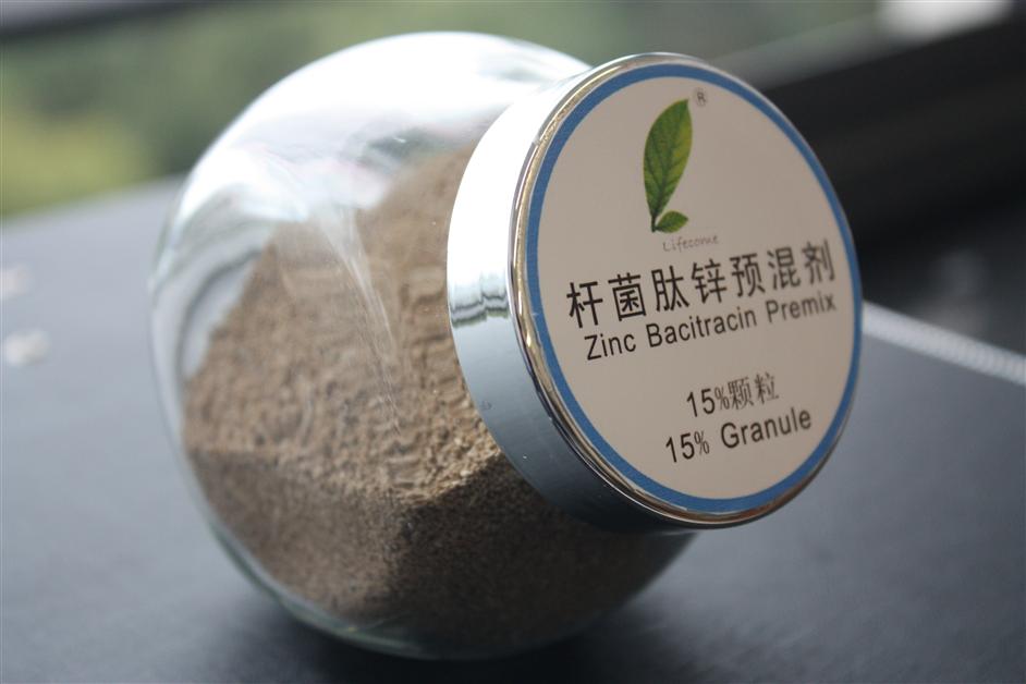 AG콢 (й½) Apple Store