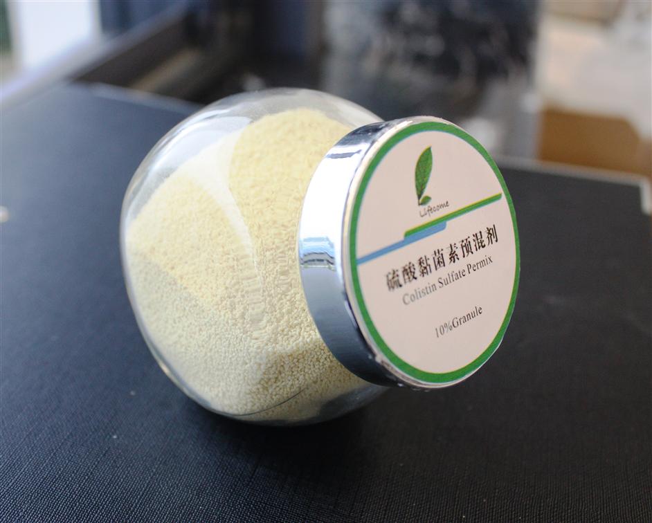 AG콢 (й½) Apple Store