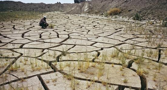 AG콢 (й½) Apple Store