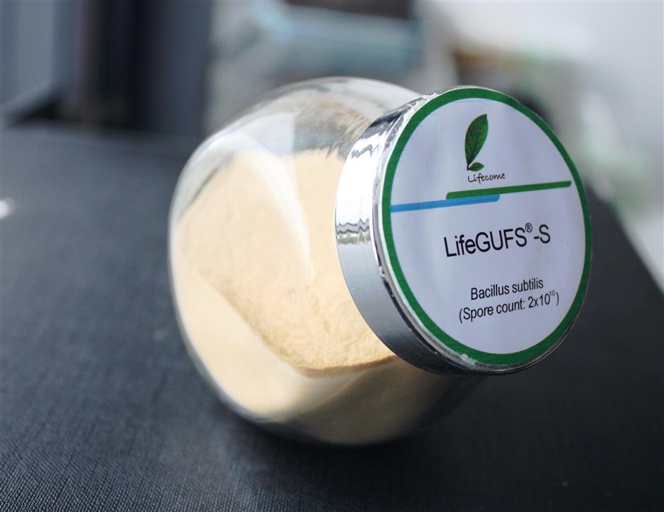 AG콢 (й½) Apple Store