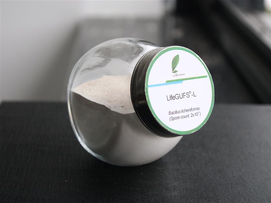 AG콢 (й½) Apple Store