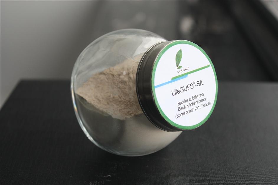 AG콢 (й½) Apple Store