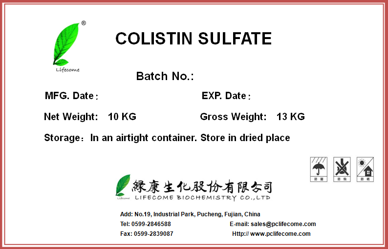 AG콢 (й½) Apple Store